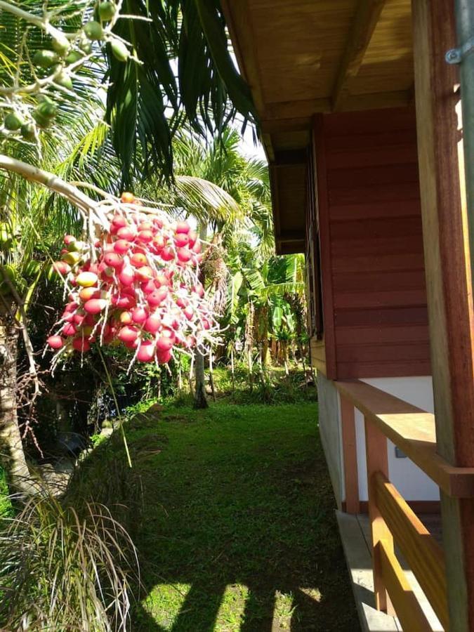 Un Cosy Sous Le Vent Villa Gourbeyre Exteriör bild