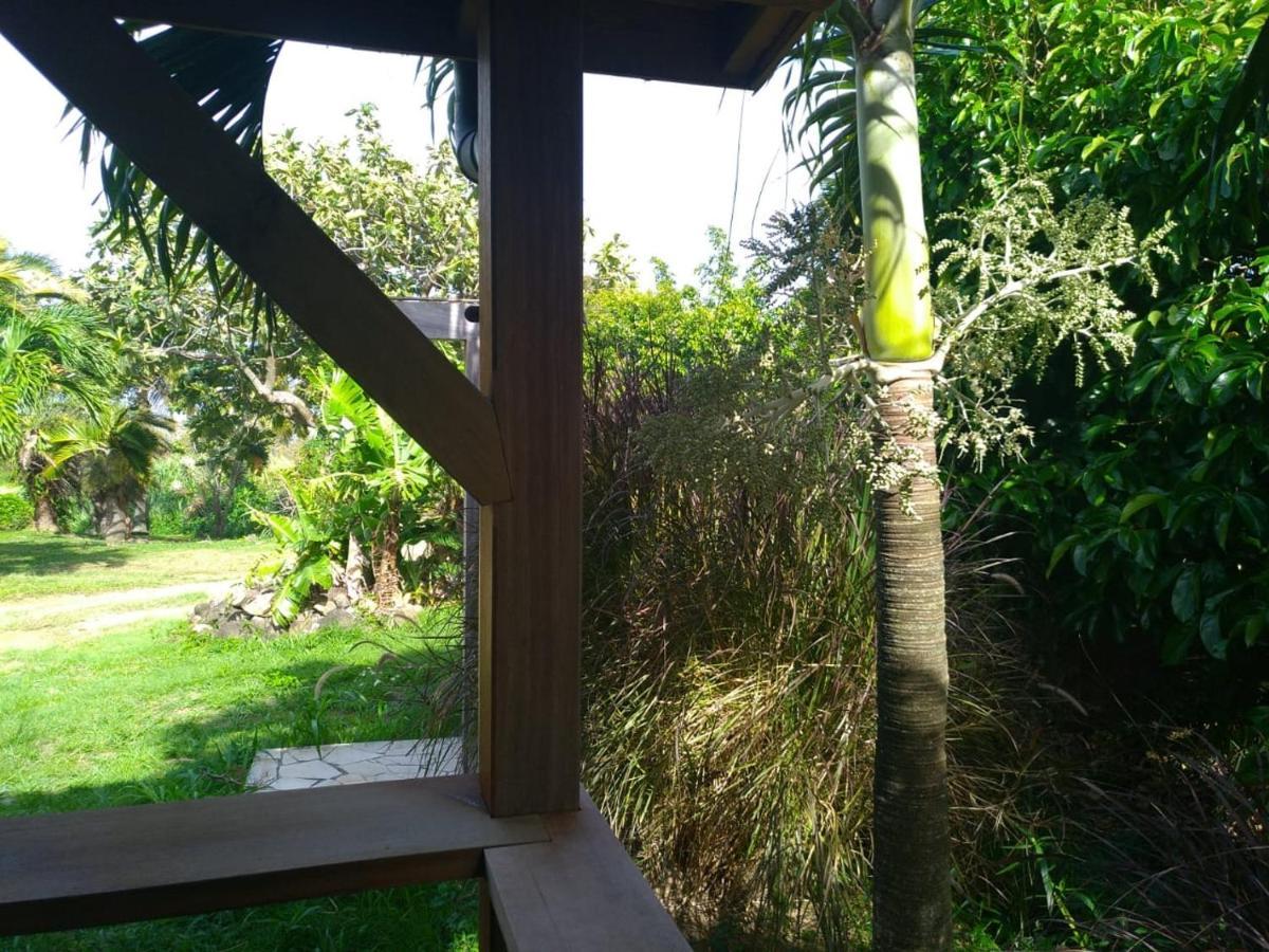 Un Cosy Sous Le Vent Villa Gourbeyre Exteriör bild